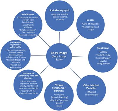 Body Image Concerns in Patients With Head and Neck Cancer: A Longitudinal Study